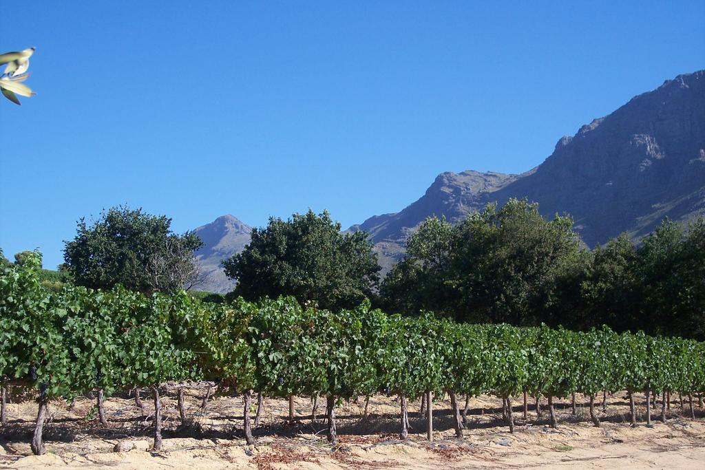 Hotel Sonklip Stellenbosch Exterior foto