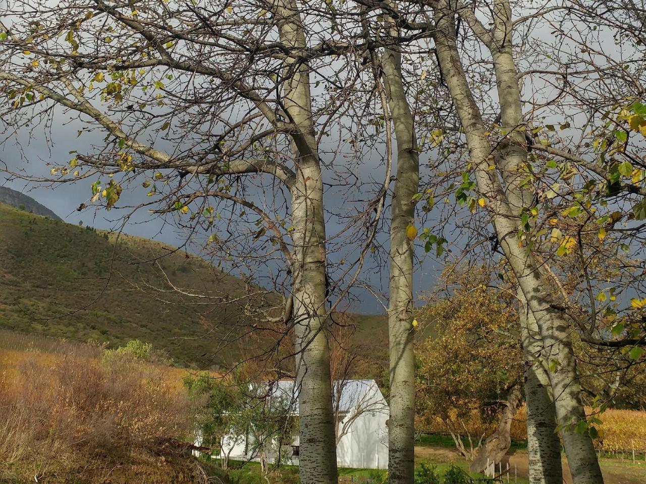 Hotel Sonklip Stellenbosch Exterior foto